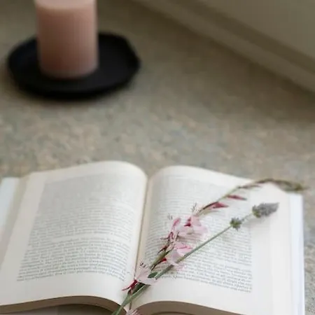 Sky And Vineyards - Nespolo - Апартаменты