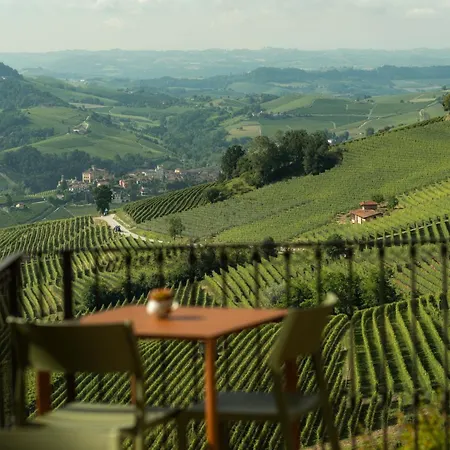 Sky And Vineyards - Nespolo -
